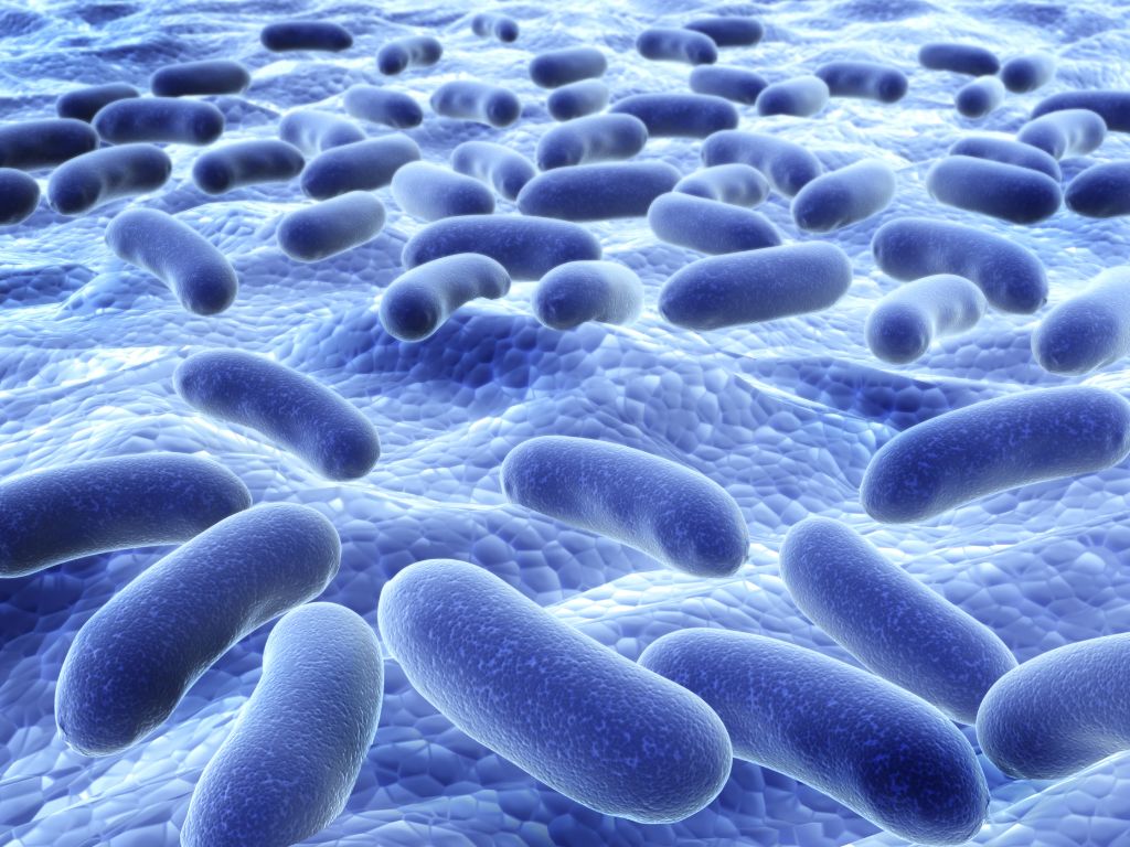 Bakterien Krankheiten bei Menschen