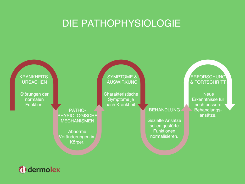 Pathophysiologie Entstehung im grafischen Überblick.